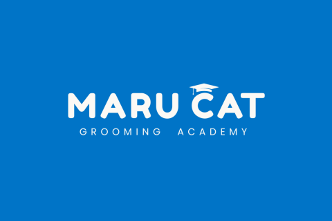 Maru Cat Grooming Academy 