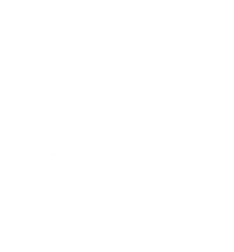 logo truelifebroker