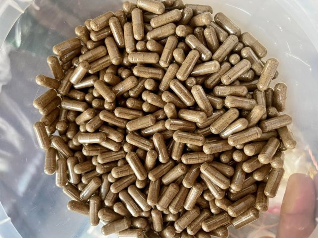PASSION SPACE is a BSF insect protein factory.