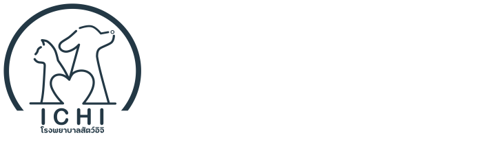 ichi white fotter logo