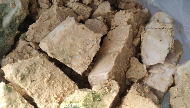 กากตะกอนจากระบบบำบัดน้ำเสีย