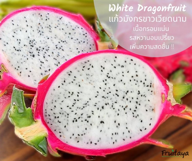 รายการ 91+ ภาพพื้นหลัง แก้วมังกร สีแดง กับ สีขาว ต่างกันอย่างไร สวยมาก รายการ 91+ ภาพพื้นหลัง แก้วมังกร สีแดง กับ สีขาว ต่างกันอย่างไร สวยมาก
