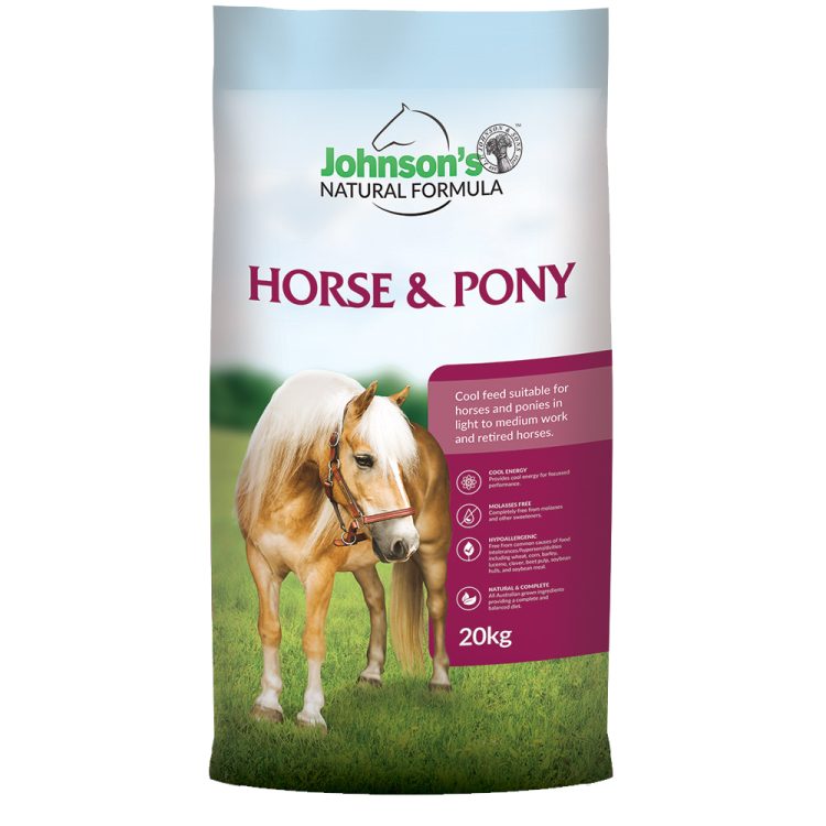 Randolphanimalhealthcare Randolphanimalhealthcare randolphanimalhealthcare-randolphanimalhealthcare