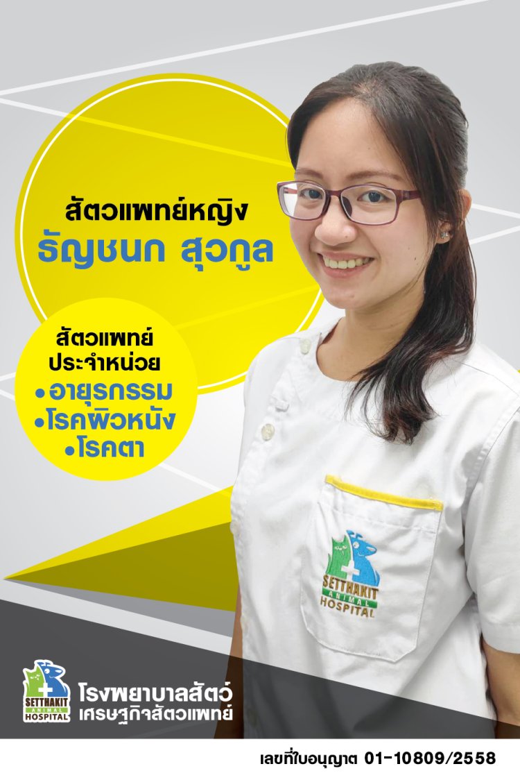 ทีมสัตวแพทย์ setthakitanimalhospital