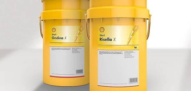 Shells - thaibearingtech01