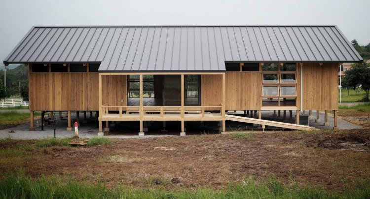 timber-charm - timber-charm