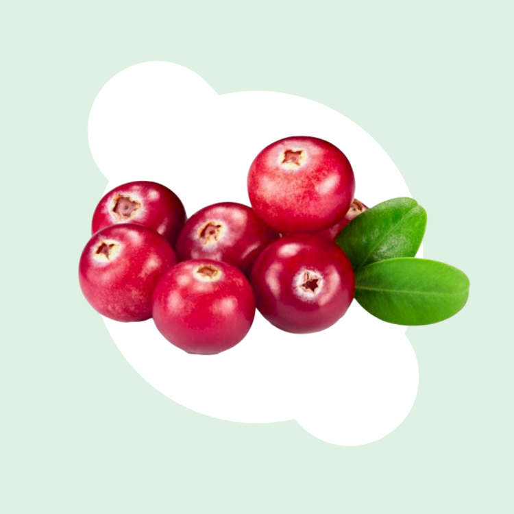 สารสกัดแครนเบอร์รี่ ในยาสีฟันเด็ก สารสกัดแครนเบอร์รี่ ในยาสีฟันเด็ก