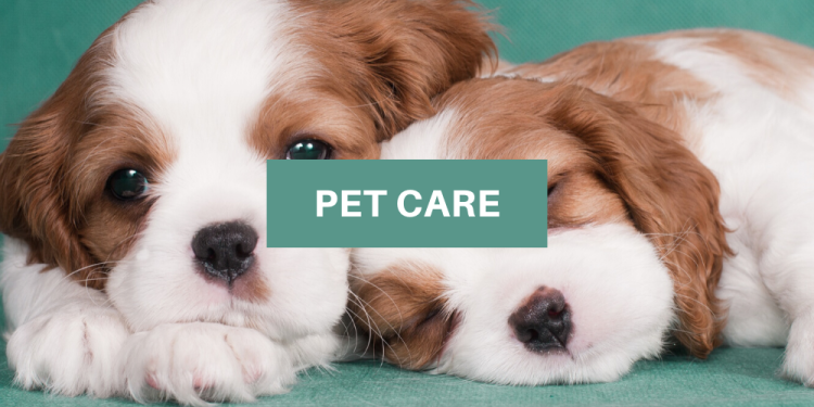 Pet-care