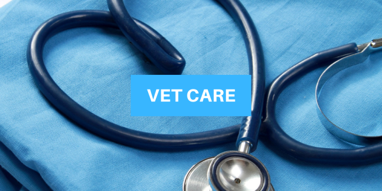 Vet-care