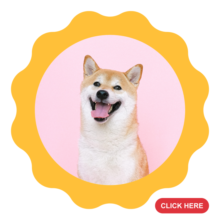 Petsister Thailand Online Pet Food, Pet Supplies Store