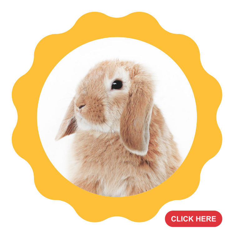 petsister-thailand-online-pet-food-pet-supplies-store