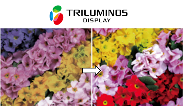 Professional BRAVIA Triluminos