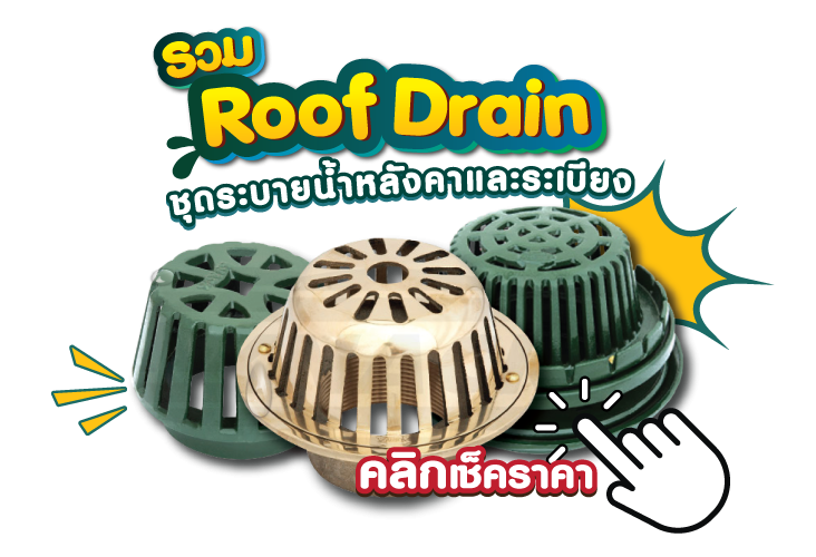 Roof Drain