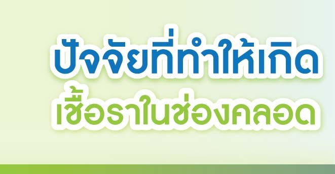 ปัจจัยที่ทำให้เกิดเชื้อราในช่องคลอด ปัจจัยที่ทำให้เกิดเชื้อราในช่องคลอด