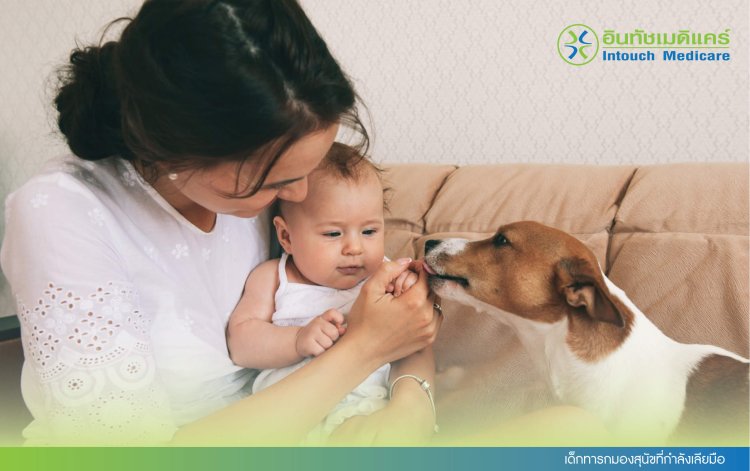 เด็กทารกมองสุนัขที่กำลังเลียมือ
