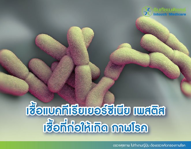 ตรวจสุขภาพ ไปทํางานญี่ปุ่น ต้องตรวจคัดกรองกาฬโรค