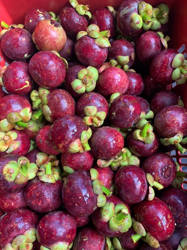 farmfreshfruitsthailand