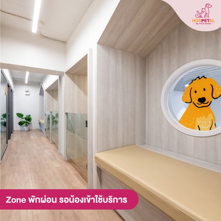 โซนพักผ่อน