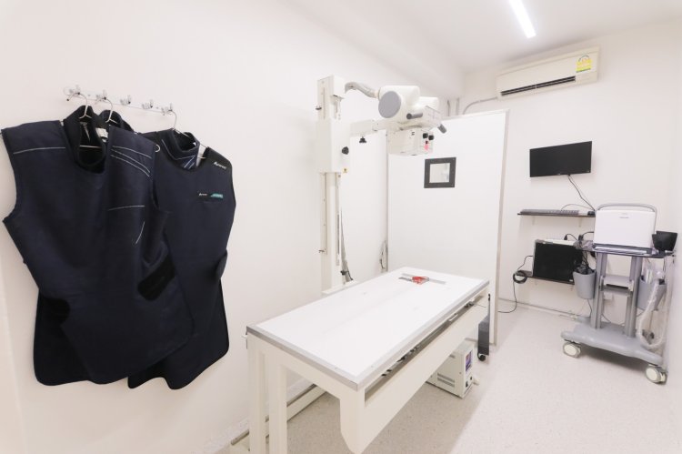 X-Ray เอกซ์เรย์