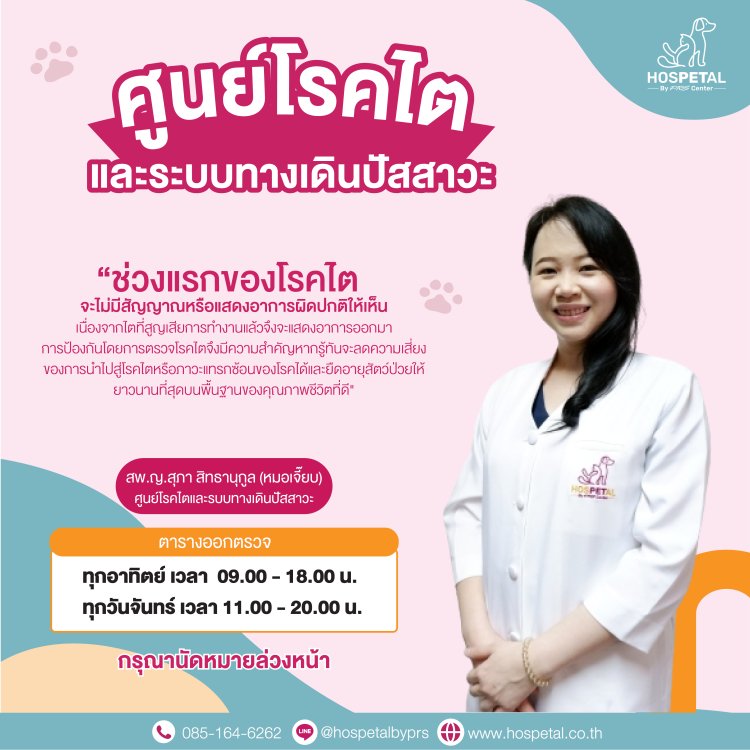 ตารางแพทย์ออกตรวจ คลินิกโรคไต