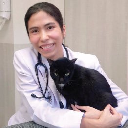 คลินิกแมว คลินิกแมว