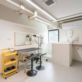 คลินิกแมว