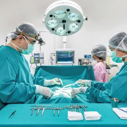 คลินิกแมว คลินิกแมว