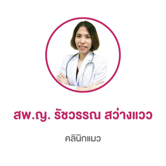 แพทย์ประจำคลินิกแมว