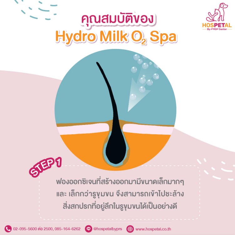 Hydro Milk 1 Hydro Milk 1
