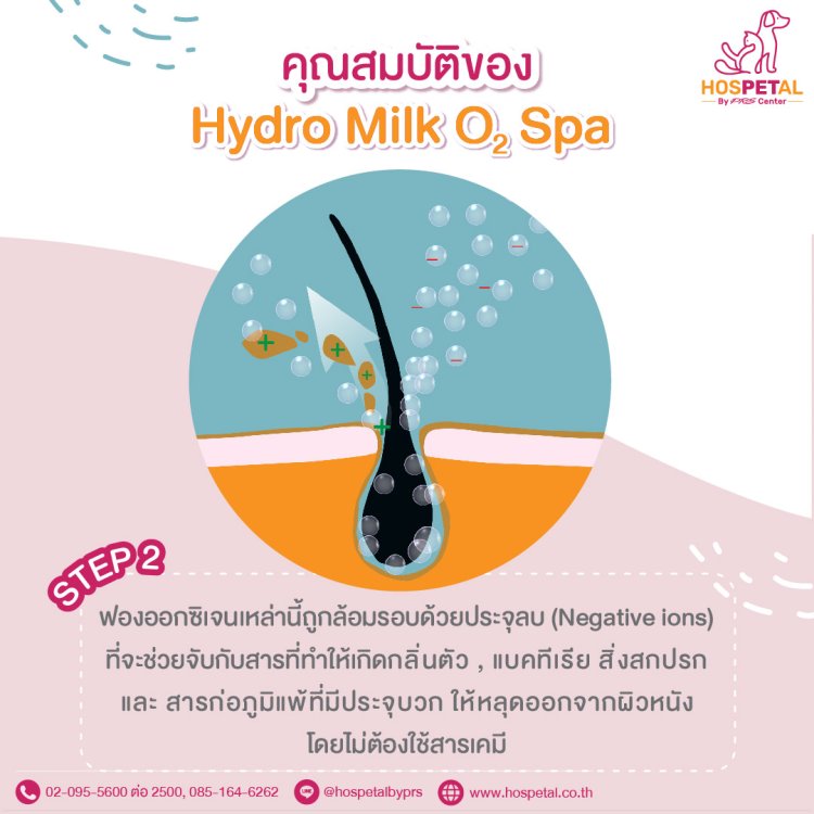 Hydro Milk 2 Hydro Milk 2