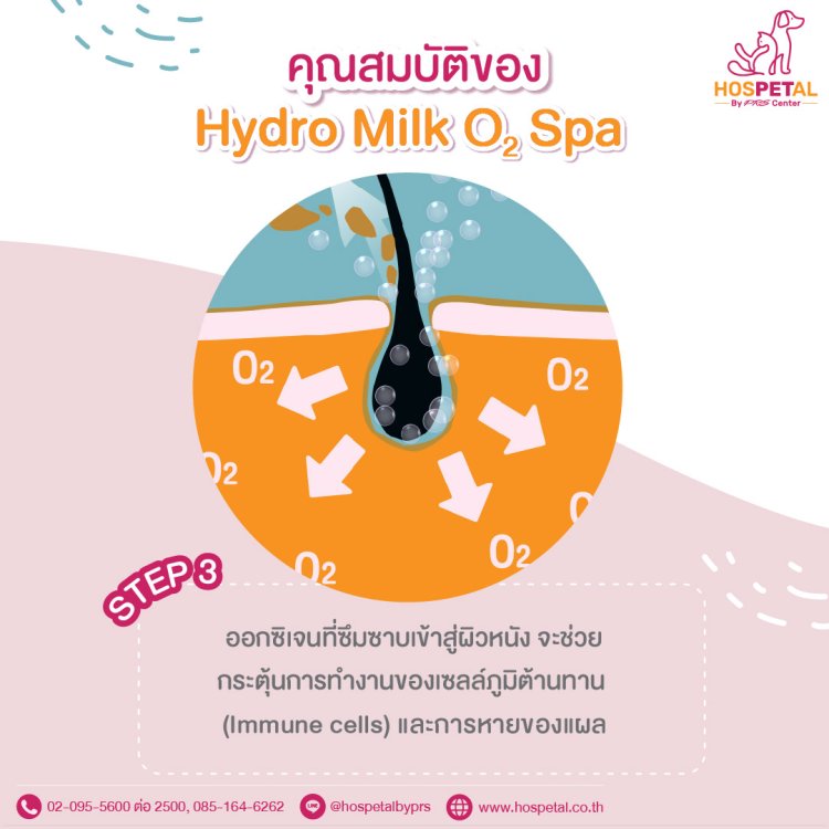 Hydro Milk 3