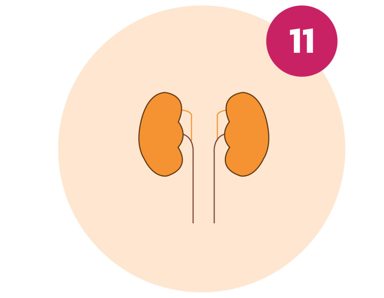 ศูนย์โรคไต