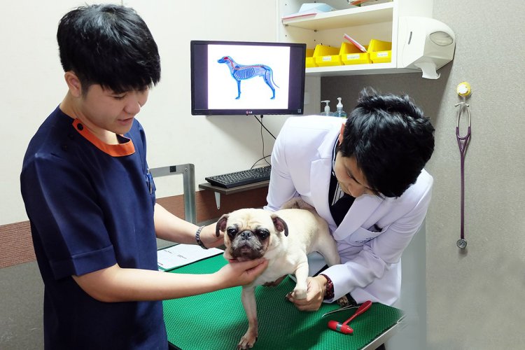 คลินิกโรคระบบประสาทและการเคลื่อนไหว