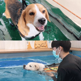 ธาราบำบัด