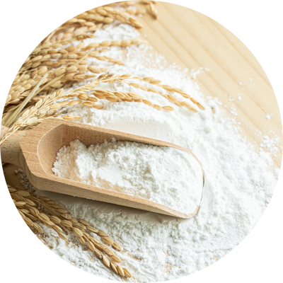 Tapioca Products - jcpintlsg.com