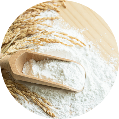 Tapioca Products - jcpintlsg.com