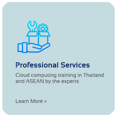 Professional Services