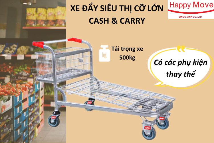 Xe đẩy siêu thị cỡ lớn