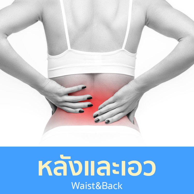 หลังและเอว