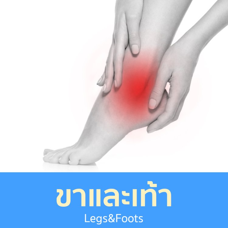 ขาและเท้า