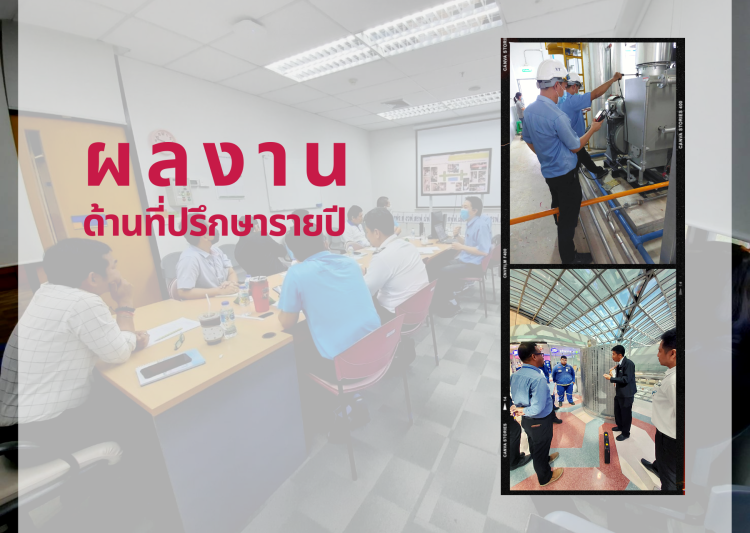 ที่ปรึกษาด้านพลังงานรายปี