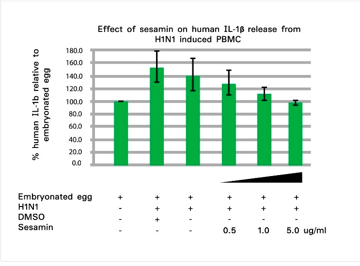 กราฟ_การทำงานของเซซามิน