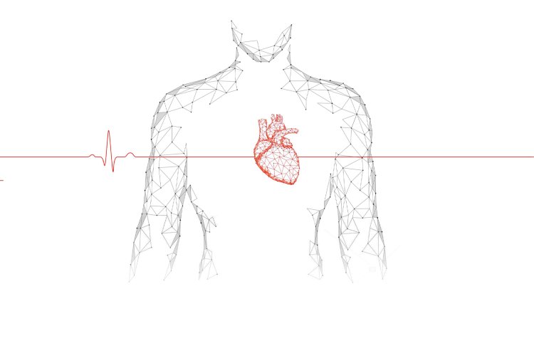Oxidized Low-Density Lipoprotein (OxLDL)