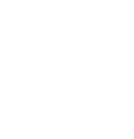 Line s icon