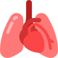 HeartLung