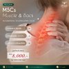 Program MSCs Muscle & Back