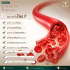 Program Chelation IV Drip