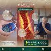 Program MSCs Metabolic Balance