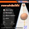 สายพานลำเลียงไข่ไก่ 4" (ลาย)