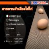 สายพานลำเลียงไข่ไก่ ( 8" ) (สีน้ำตาล)